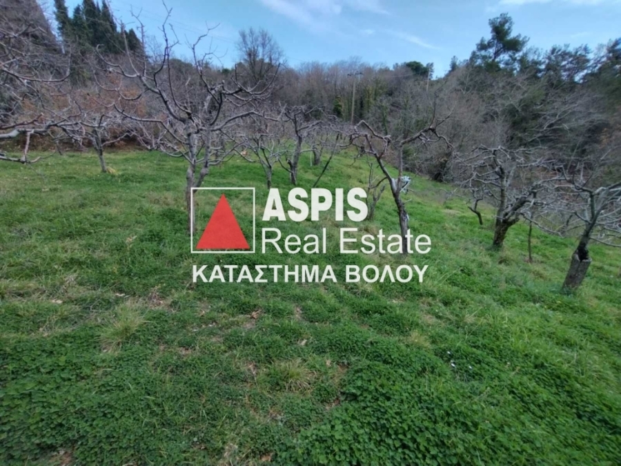 (Προς Πώληση) Αξιοποιήσιμη Γη Αγροτεμάχιο || Ν. Μαγνησίας/Πήλιο-Αφέτες - 7.000 τ.μ, 25.000€ 